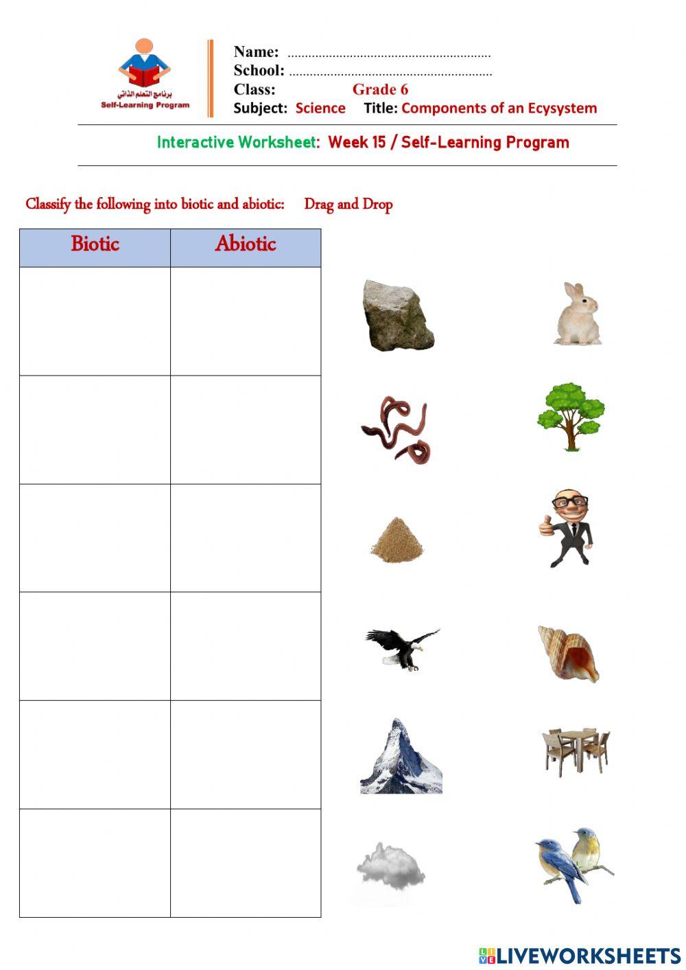 Get 85 Summer Ecosystem Worksheet 81