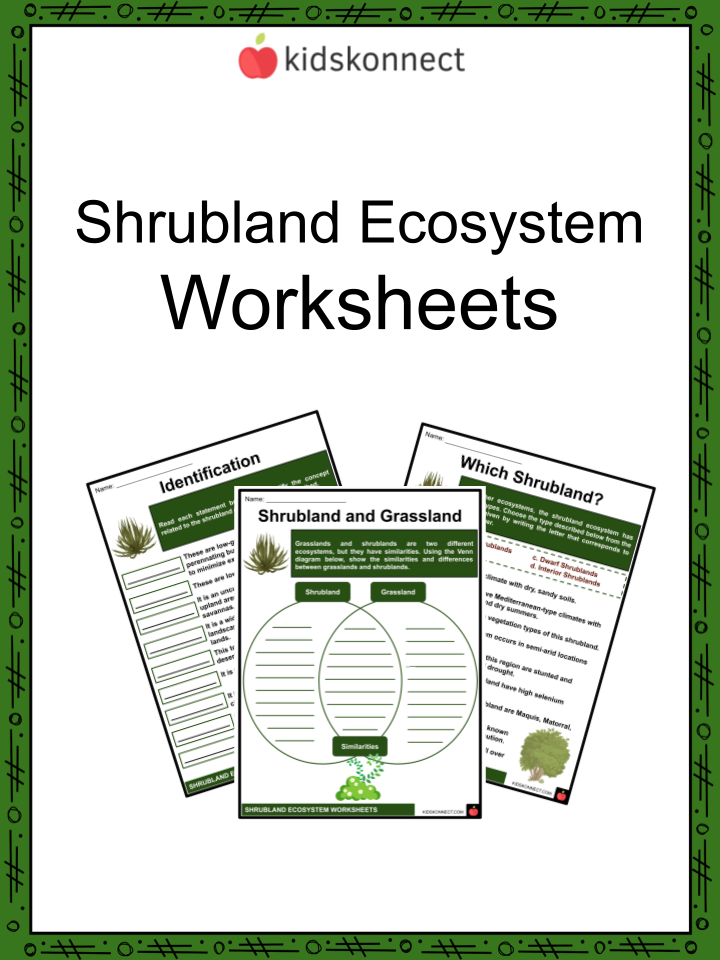 Get 85 Summer Ecosystem Worksheet 82