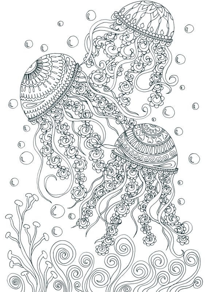 Best 45 Free Adult Coloring Pages Summer Ideas 22