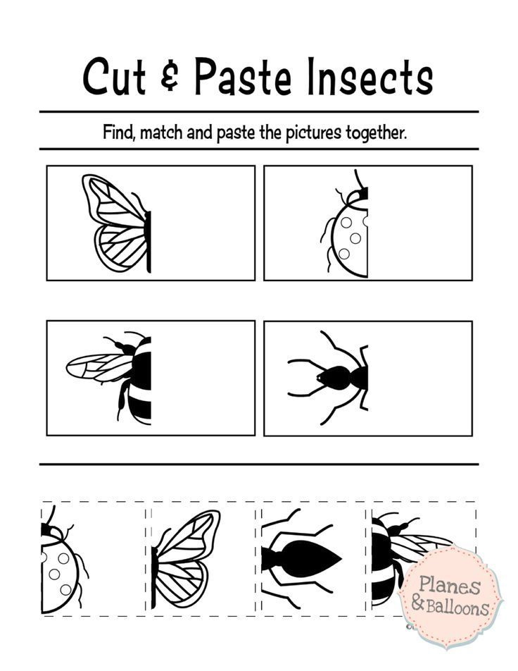 20 Cut And Paste Worksheets Summer