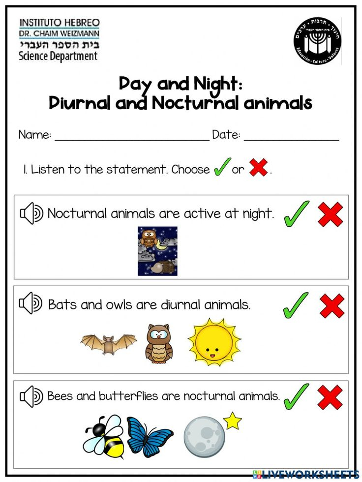 20 Day And Night Worksheets Kindergarten Free