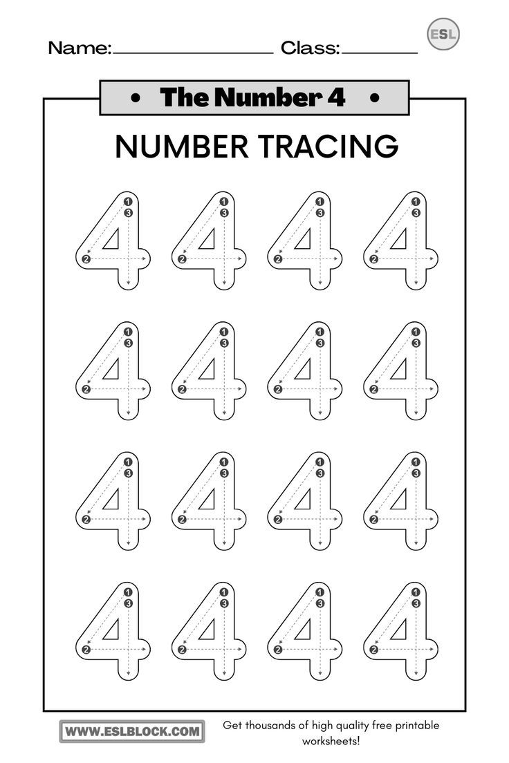 20 Number 4 Worksheets For Preschool Math