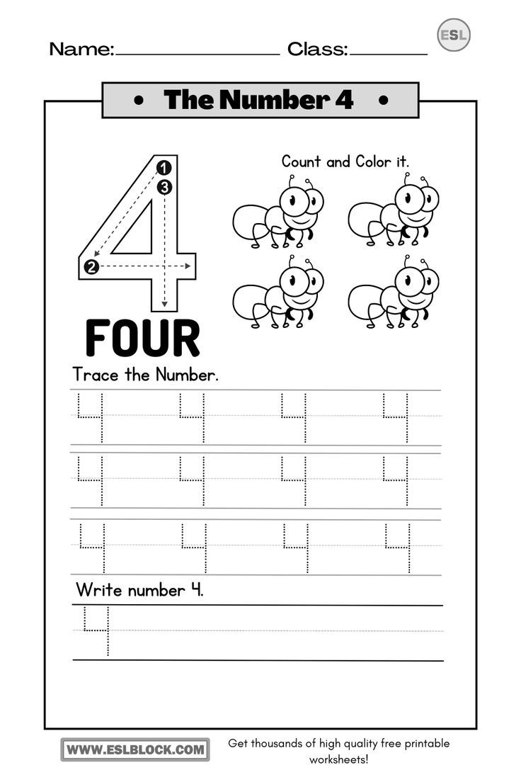 20 Number 4 Worksheets For Preschool Math