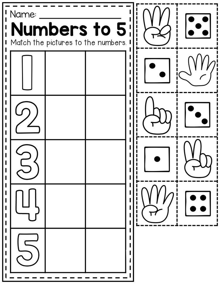 20 Number 4 Worksheets For Preschool Math