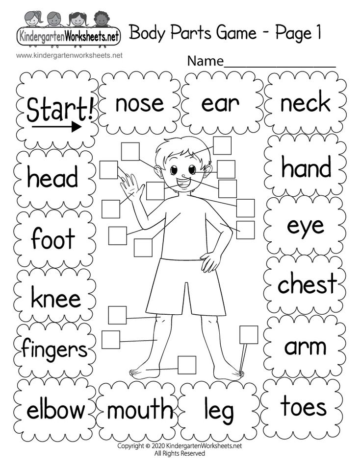 20 Parts Of Body Worksheets Kindergarten