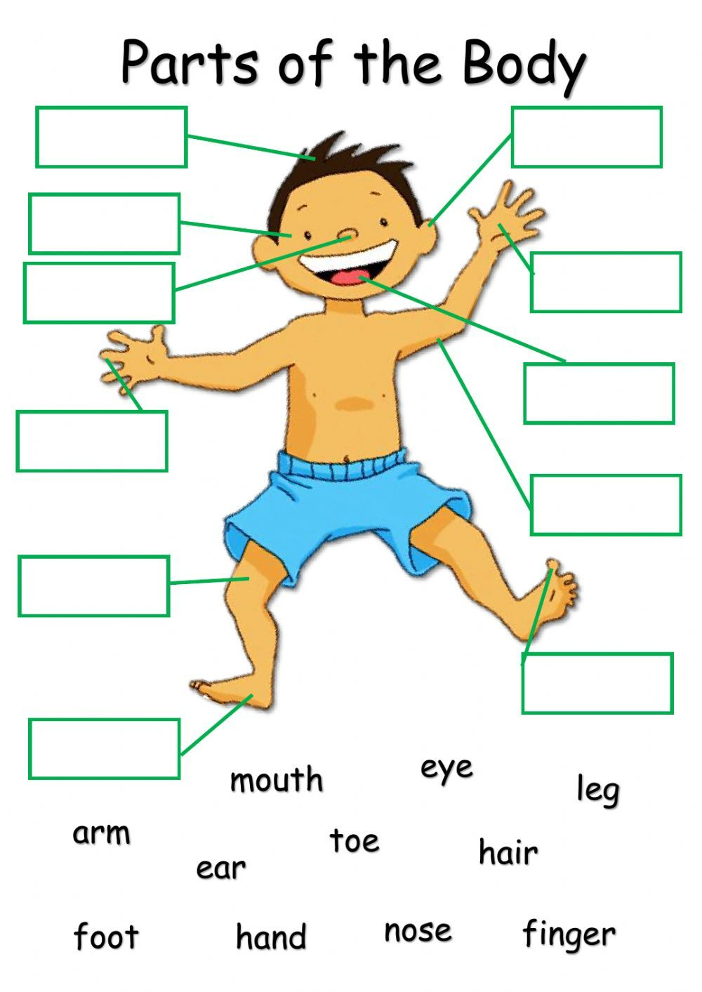 20 Parts Of Body Worksheets Kindergarten