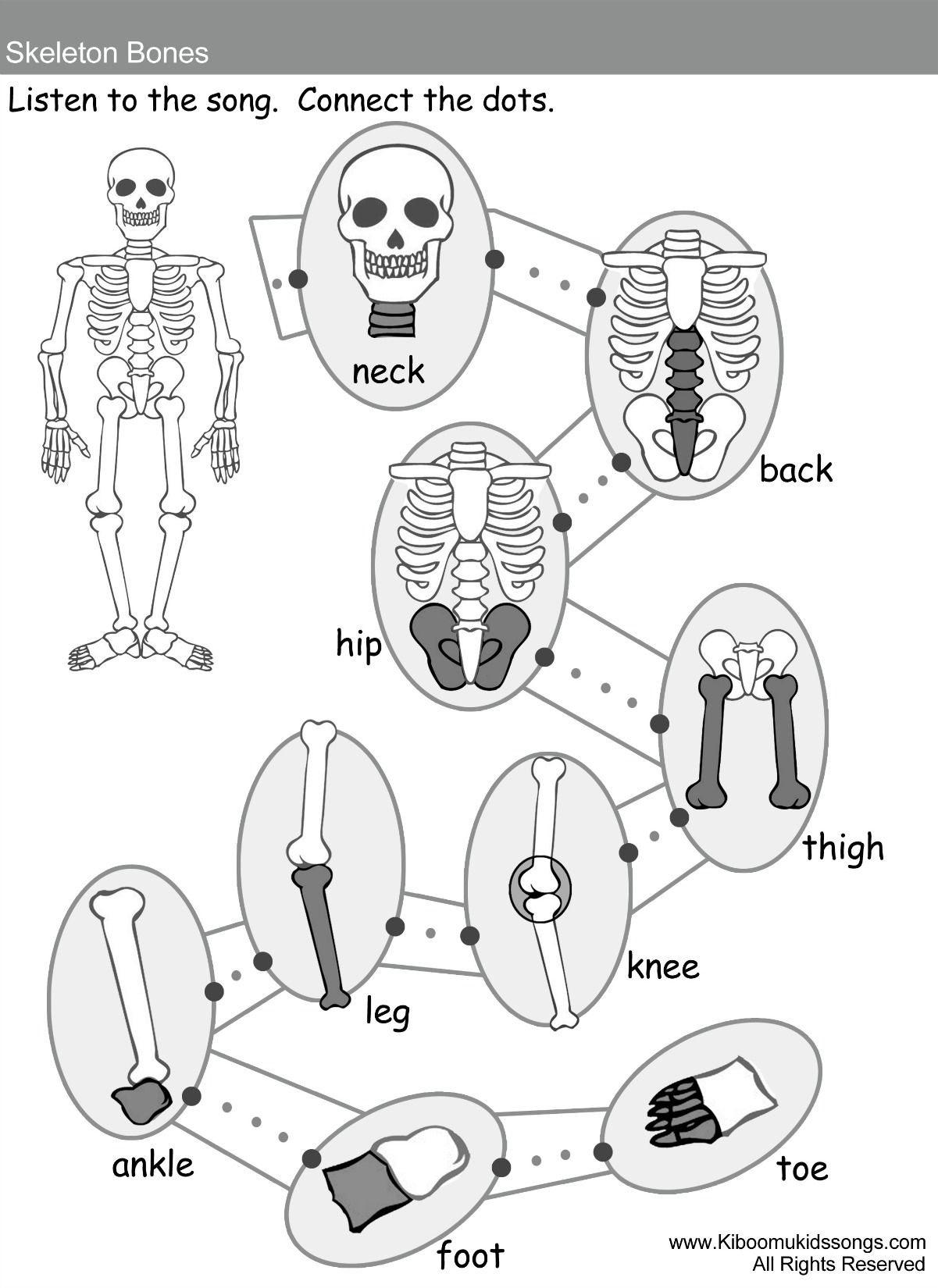 20 Parts Of Body Worksheets Kindergarten