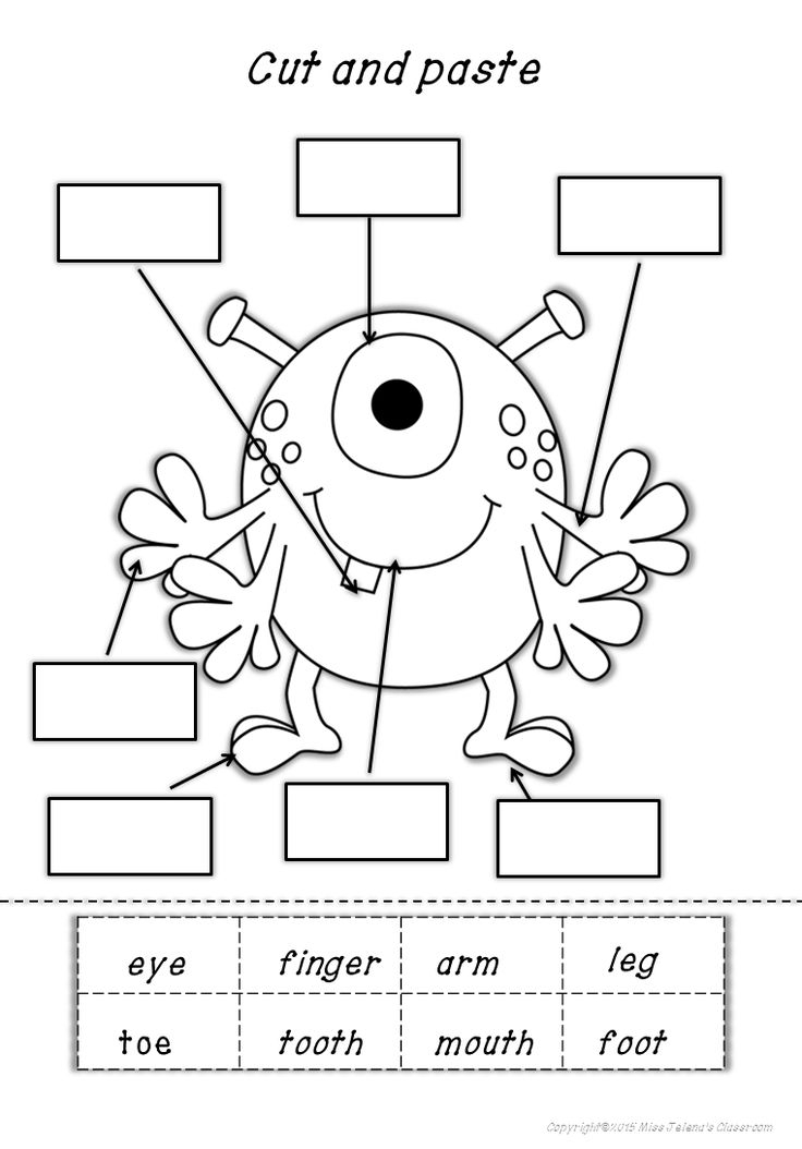 20 Parts Of The Body Worksheets Cut And Paste