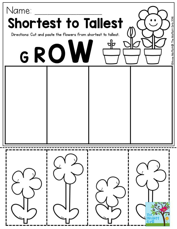 30 Fun Worksheets For Kindergarten Cut And Paste