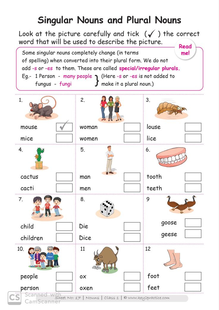 30 Grade 1 English Worksheets Noun