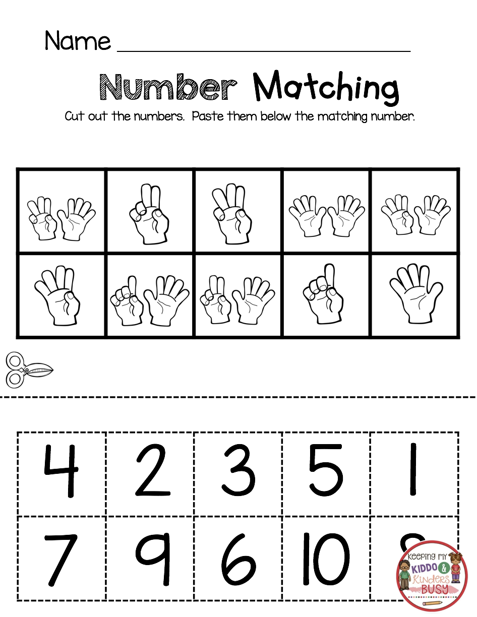 30 Matching Numbers Worksheets For Kindergarten