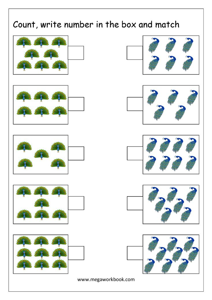 30 Matching Numbers Worksheets For Kindergarten