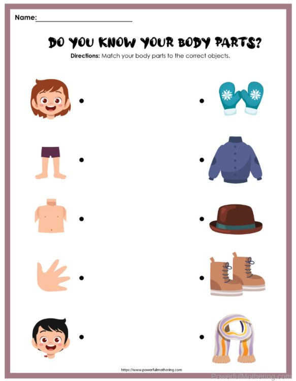 30 Parts Of Body Worksheets Kindergarten