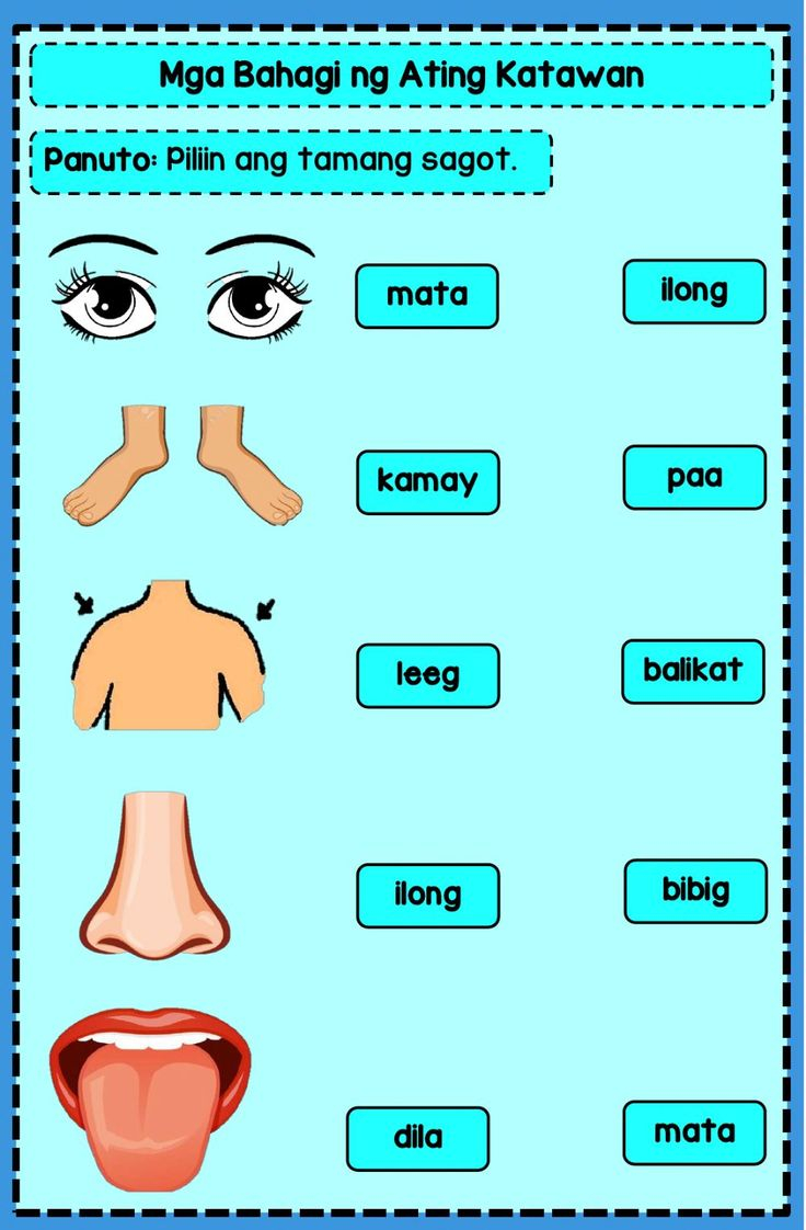 30 Parts Of Body Worksheets Kindergarten