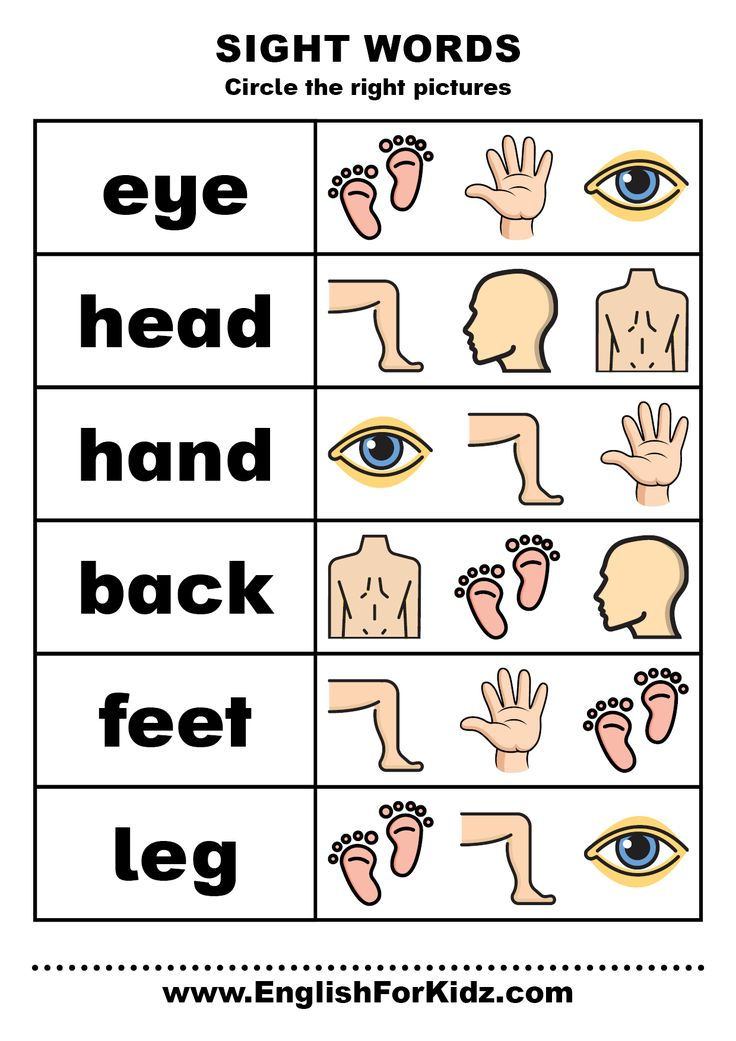 30 Parts Of Body Worksheets Kindergarten