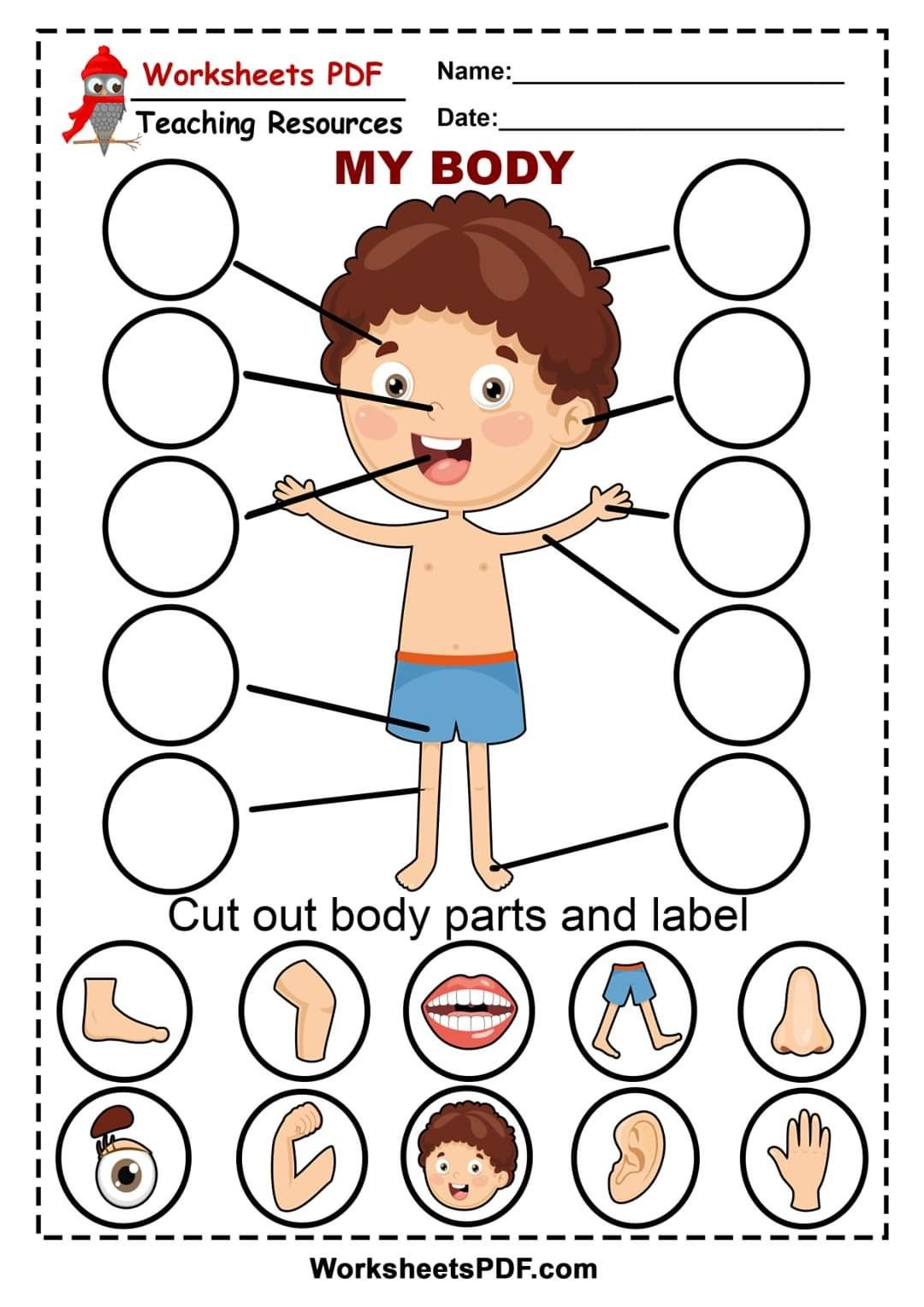 30 Parts Of Body Worksheets Kindergarten