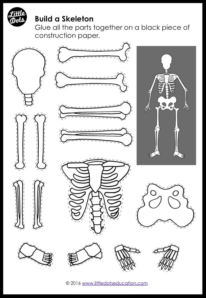 30 Parts Of The Body Worksheets Cut And Paste