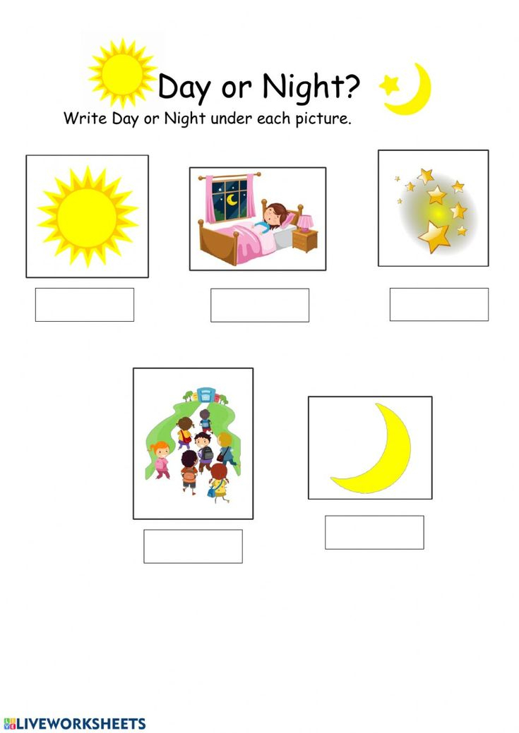 35 Day And Night Worksheets Kindergarten Free