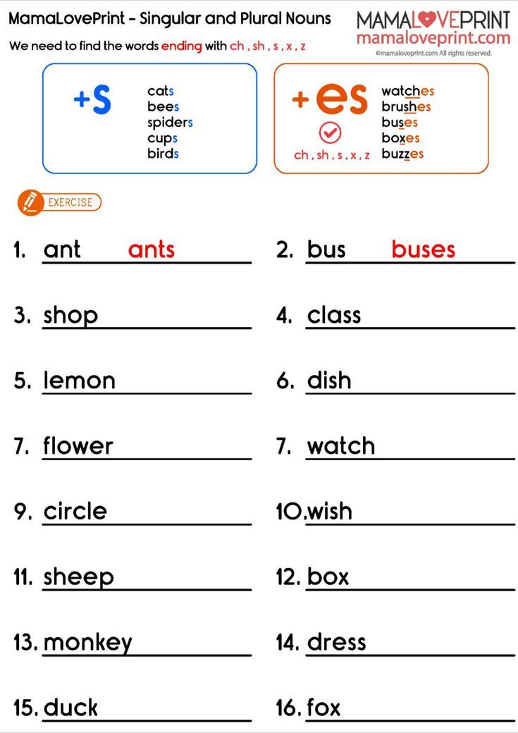 35 Grade 1 English Worksheets Noun