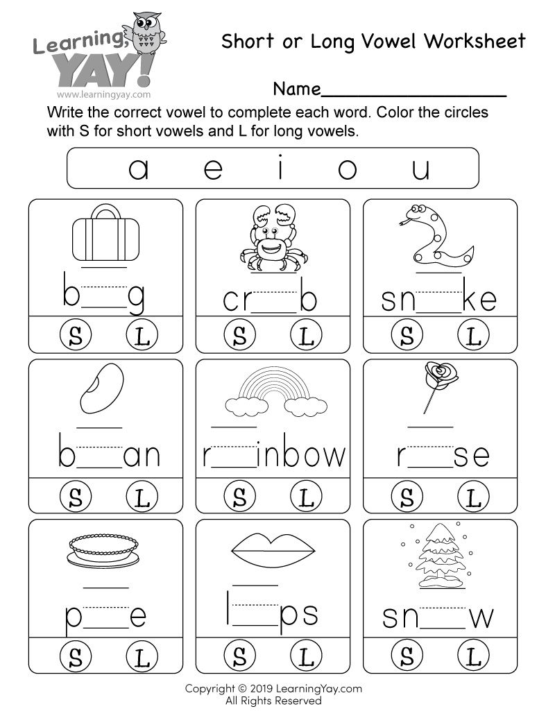 35 Long And Short Vowel Worksheets 1St Grade