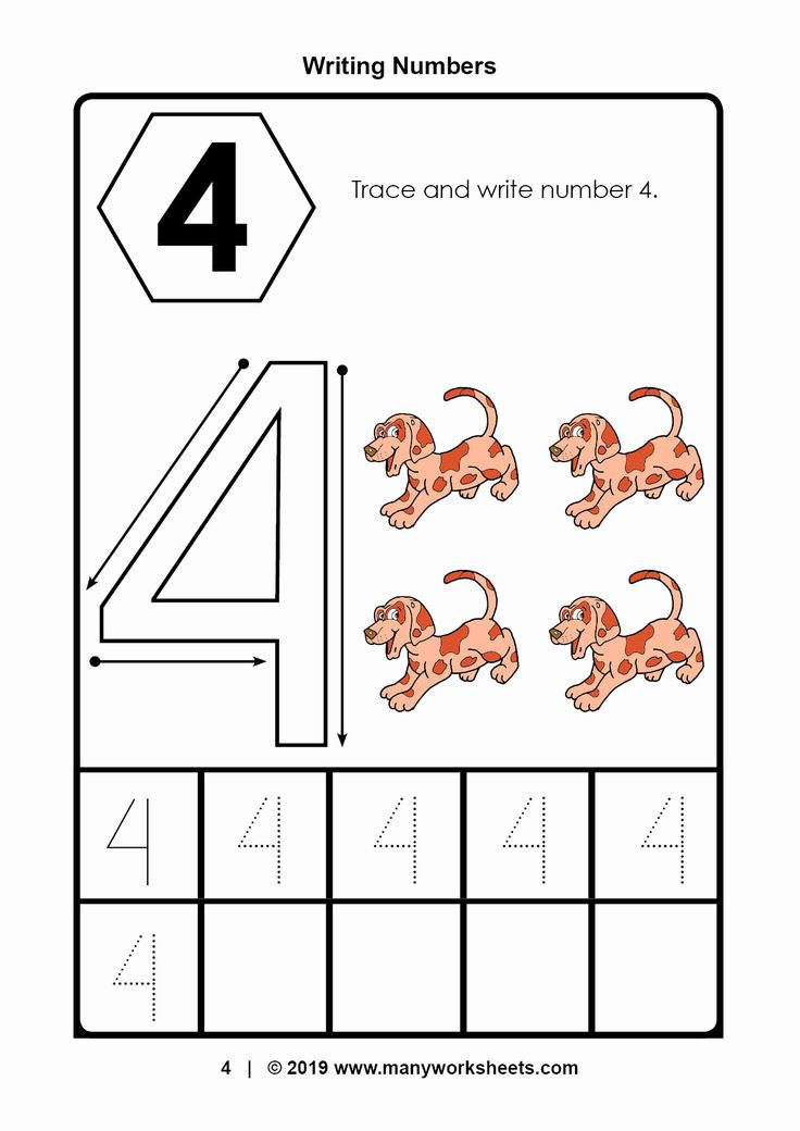 35 Number 4 Worksheets For Preschool Math