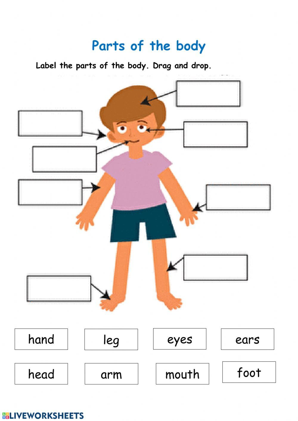 35 Parts Of Body Worksheets Kindergarten