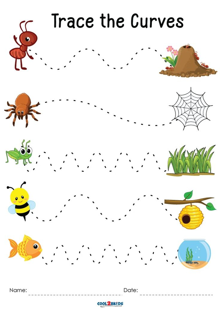 35 Worksheets For Kindergarten Line Trace