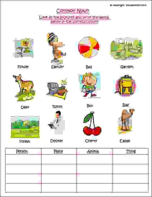 21 Grade 1 English Worksheets Noun