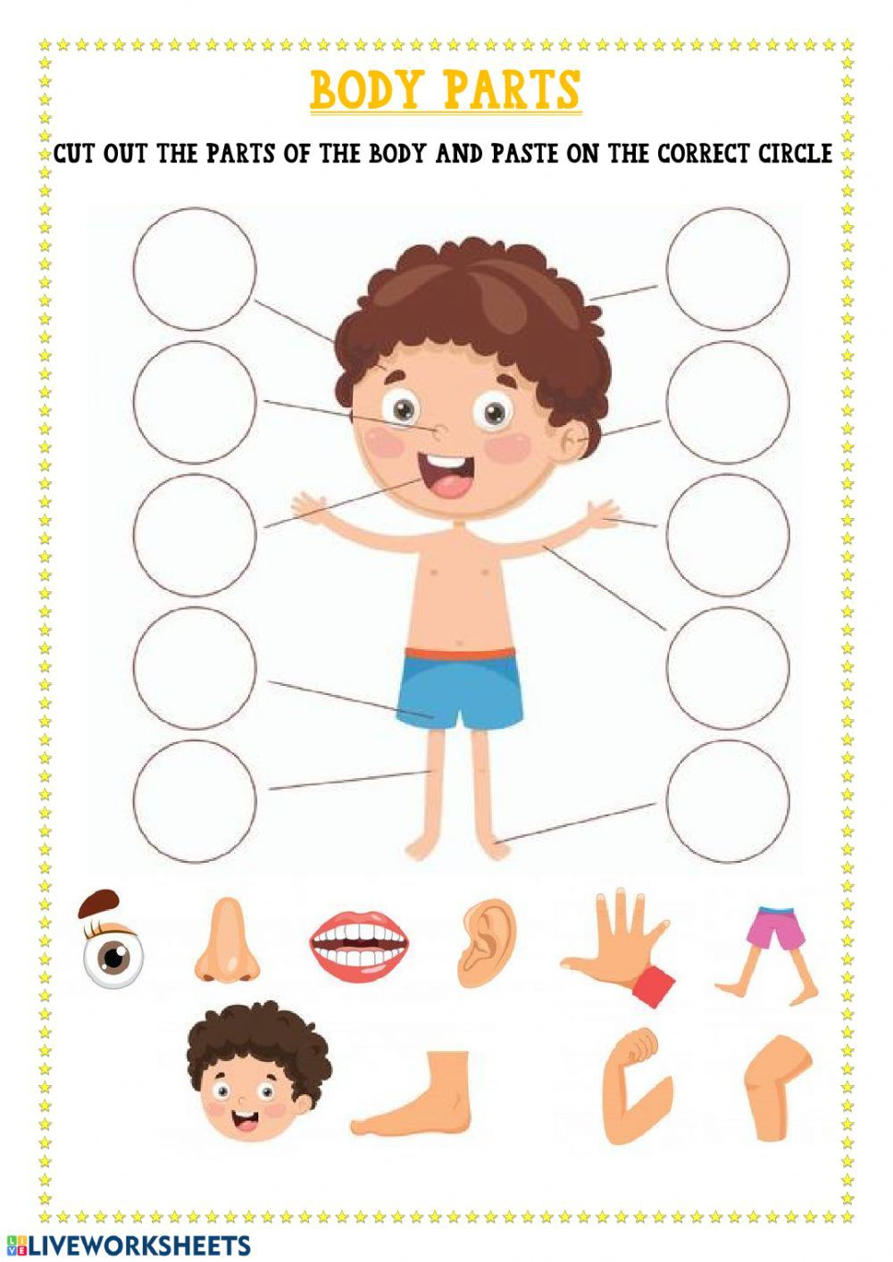 21 Parts Of Body Worksheets Kindergarten