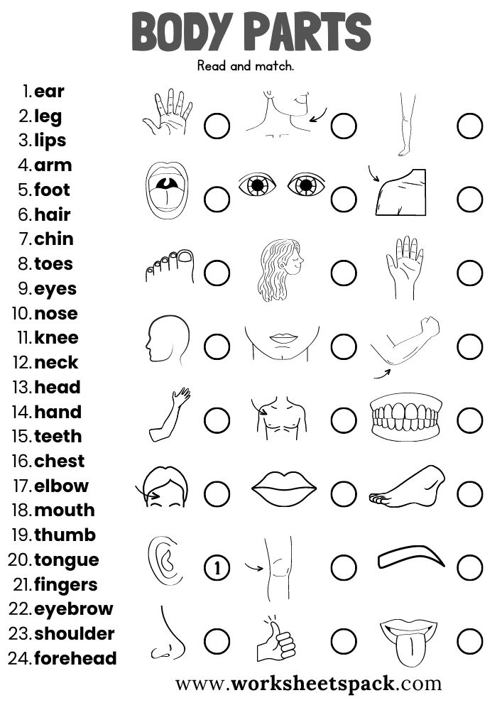 21 Parts Of Body Worksheets Kindergarten