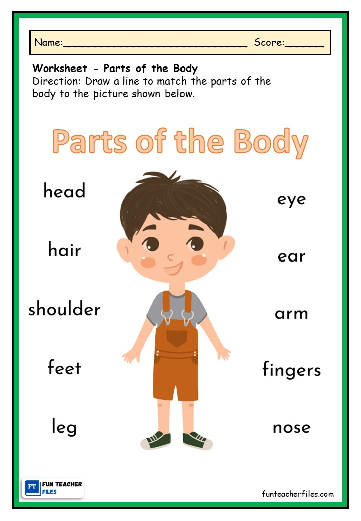 21 Parts Of Body Worksheets Kindergarten