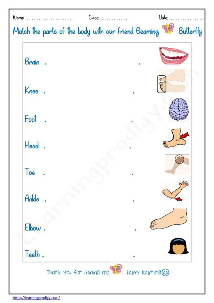 21 Parts Of Body Worksheets Kindergarten