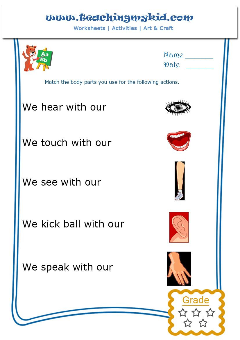 21 Parts Of Body Worksheets Kindergarten