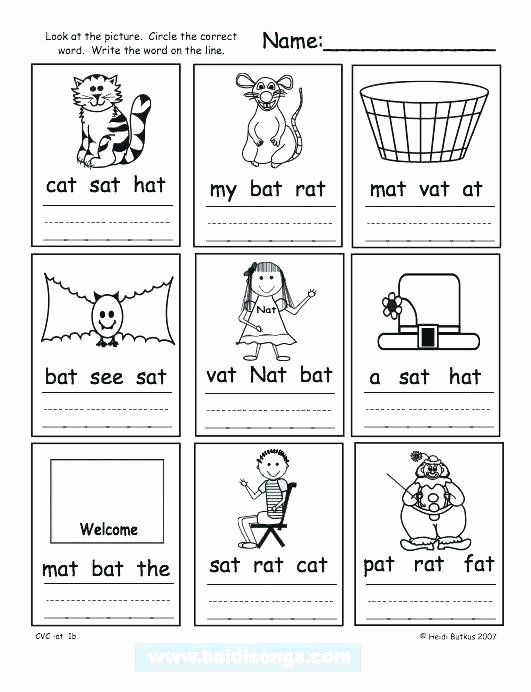 21 Three Letter Words Worksheets Reading Kindergarten